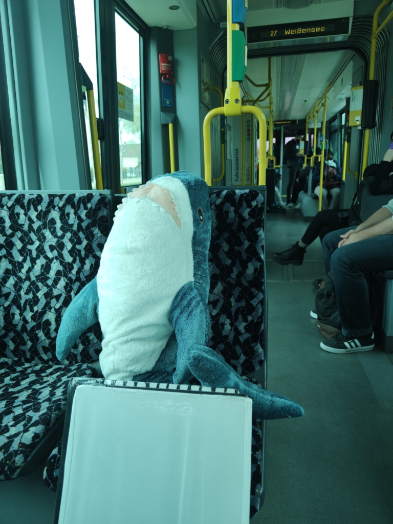 photo of a shark sitting in tram, with tram display with its number and destination also visible